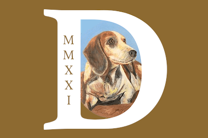 File:Flag of Dexterra.png