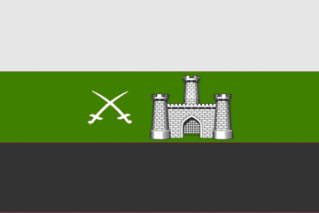 File:Flag of Aels.png