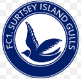 File:FC1. Surtsey Island Gulls logo.png