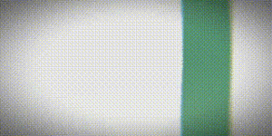 Flag of Ralsalin.gif