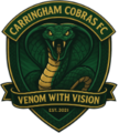 Thumbnail for version as of 12:29, 18 June 2025