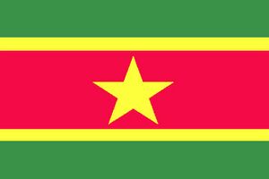 Flag of Fort Mckinley.jpg