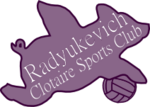 Badge of Radyukevich CSC