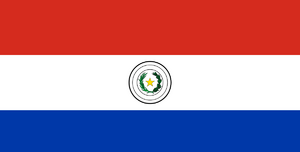 Flag of Yguazu.png