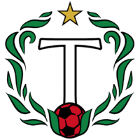 Shirt badge/Association crest