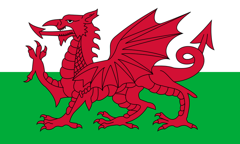 File:Flag of Steel Shadows.png