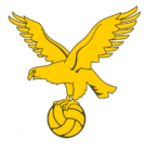 Shirt badge/Association crest