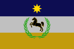 SNA Flag.png