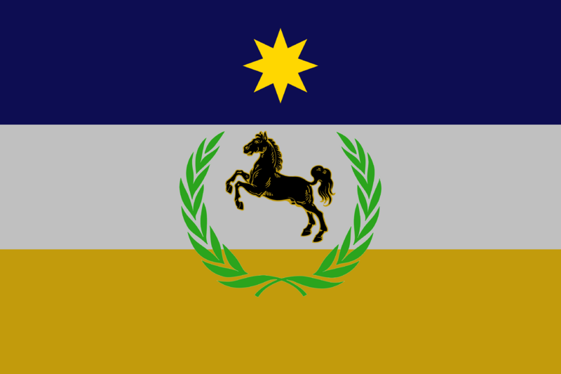 File:SNA Flag.png