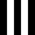 Thumbnail for version as of 11:06, 23 June 2024