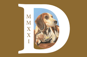 Flag of Dexterra.png