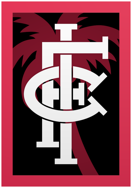 File:Ibini FC logo.png