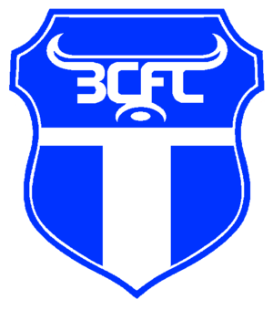 BurninghamCityLogo.png