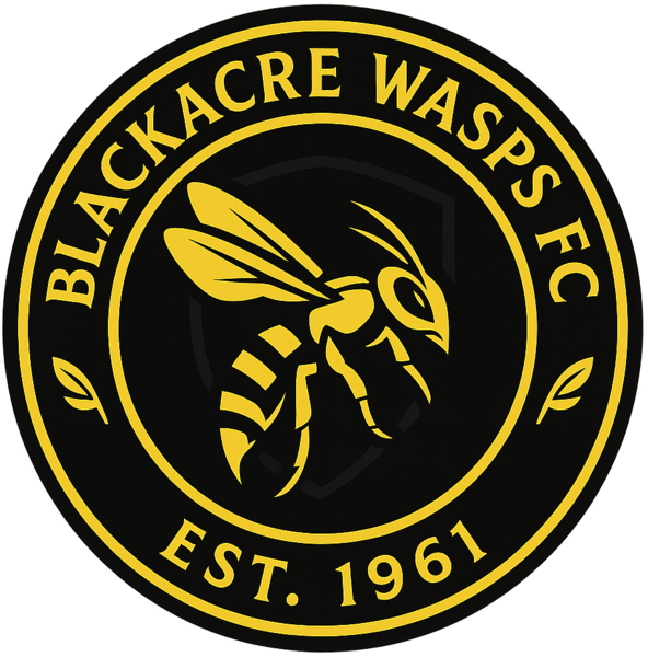 File:Blackacre Wasps FC logo.png