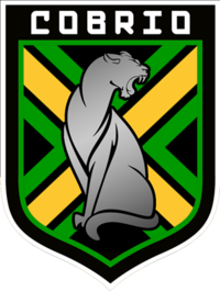 Shirt badge/Association crest