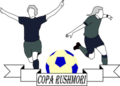The first logo of the Copa, held in Nethertopia.