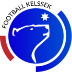 Shirt badge/Association crest