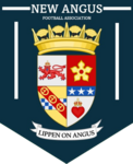 Shirt badge/Association crest