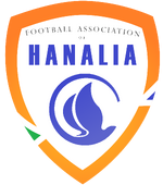 Shirt badge/Association crest