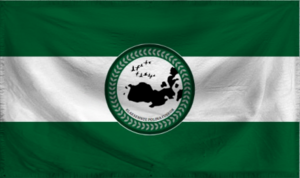FushcorFlag.png
